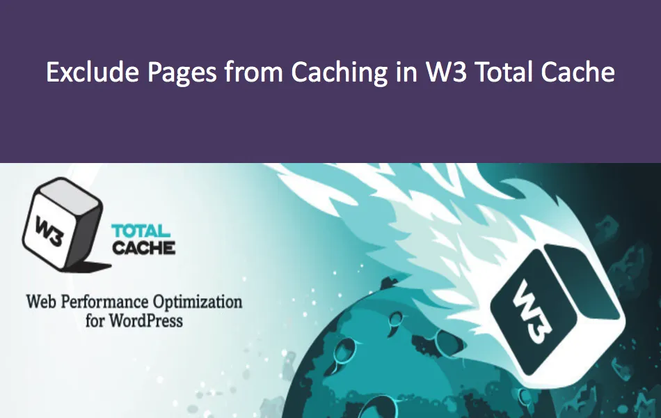 从W3 Total Cache插件缓存中排除页面和目录